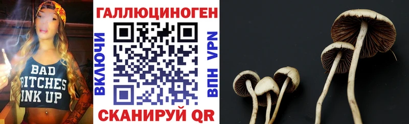 Галлюциногенные грибы Psilocybe  Купить  Одинцово 